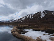 Denali National Park
