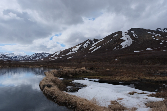 Denali National Park