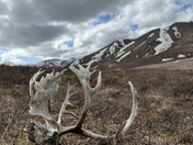 Denali National Park