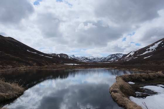 Denali National Park