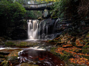 Monongahela National Forest