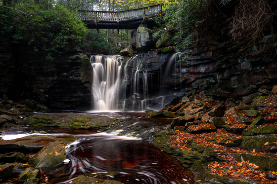 Monongahela National Forest