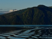 Tongass National Forest