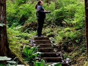 Tongass National Forest