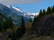 Tongass National Forest