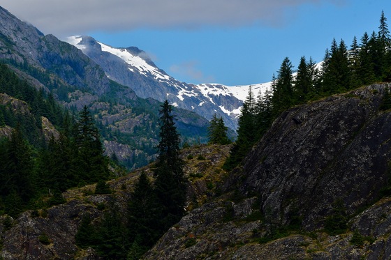 Tongass National Forest