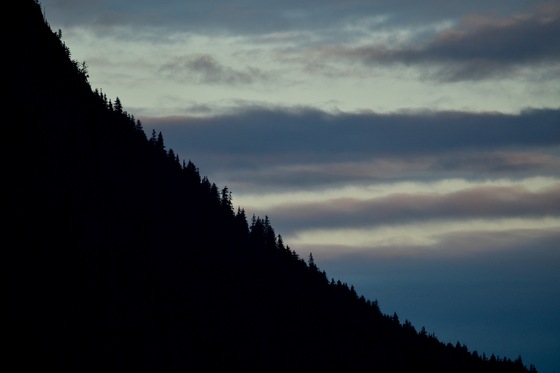 Tongass National Forest