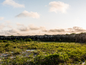 Gulf Islands National Seashore