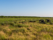 Palo Alto National Battlefield