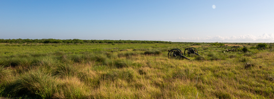 Palo Alto National Battlefield