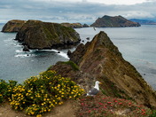 Channel Islands National Park