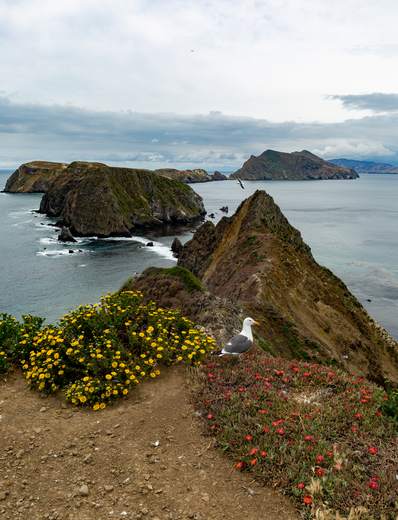 Channel Islands National Park