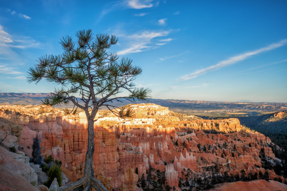 Bryce Canyon National Park
