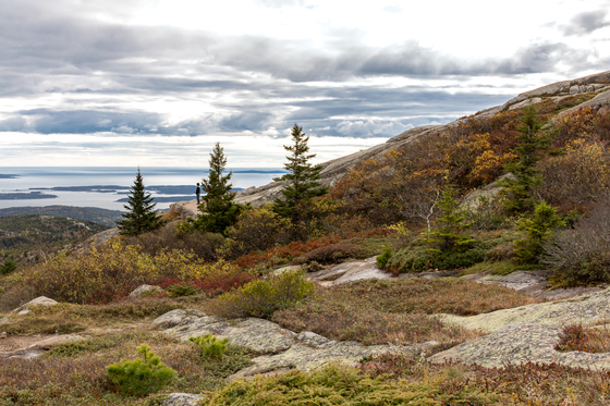 Acadia National Park