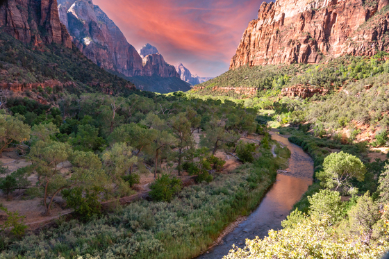 Zion National Park