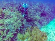 Underwater Photographer 