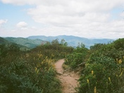 Blue Ridge Parkway 