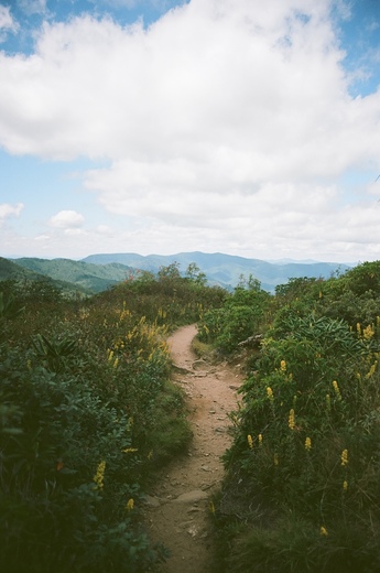 Blue Ridge Parkway 