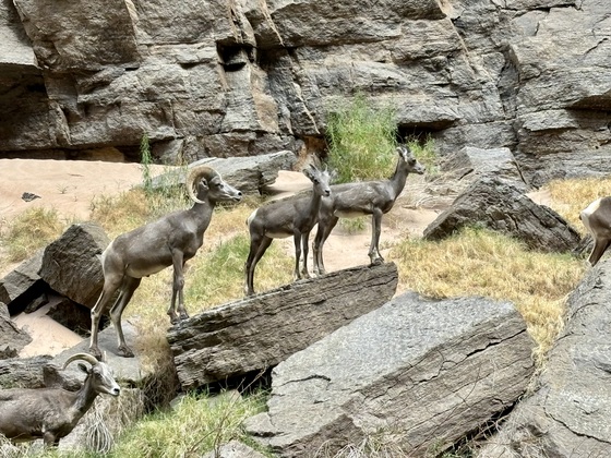 Grand Canyon National Park