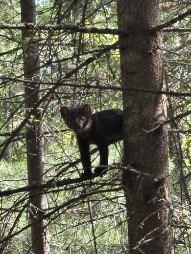Voyageurs National Park