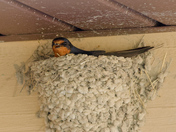 Badlands National Park