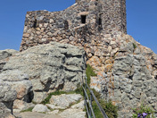 Black Hills National Forest