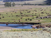 Yellowstone National Park 