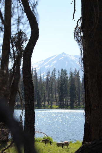 Lassen Volcanic National Park