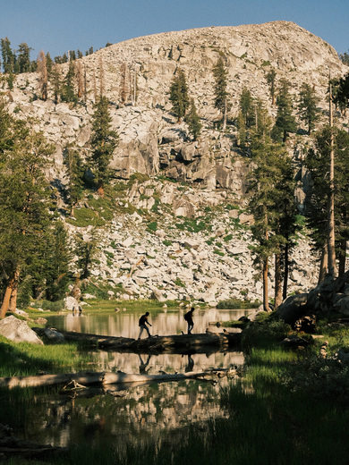 Sequoia National Park