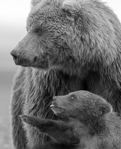 Lake Clark National Park