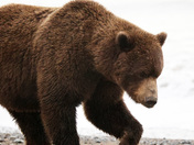 Lake Clark National Park