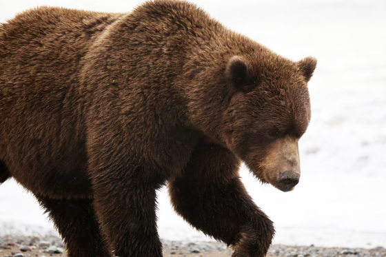 Lake Clark National Park