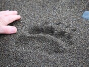 Lake Clark National Park