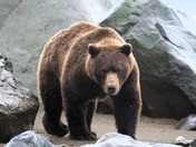 Lake Clark National Park