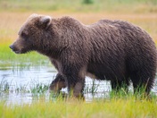 Lake Clark National Park