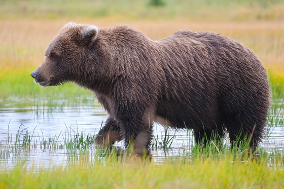 Lake Clark National Park