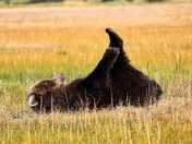 Lake Clark National Park
