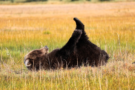Lake Clark National Park