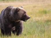 Lake Clark National Park