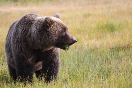 Lake Clark National Park
