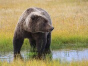 Lake Clark National Park