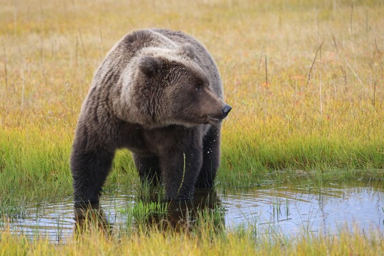Lake Clark National Park