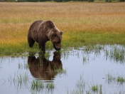 Lake Clark National Park