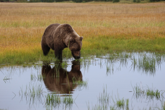 Lake Clark National Park