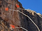 Big Bend National Park