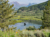 Gunnison National Forest