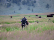 Wind Cave National Park