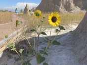 Badlands National Park 
