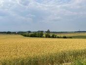Cedar Creek and Belle Grove National Historic Park 