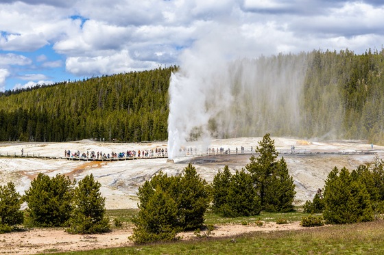 Yellowstone National Park